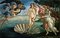 venus Penguen